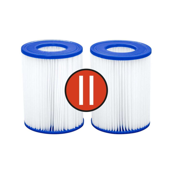 Pack de 2 cartuchos de filtro tipo II Flowclear