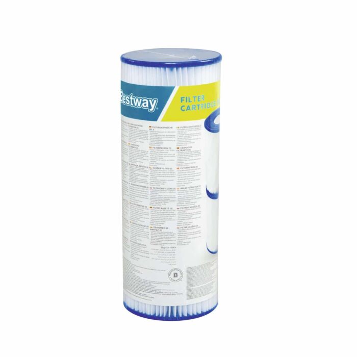 Pack de 2 cartuchos de filtro tipo II Flowclear
